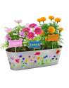 Paint & Plant Flower Growing Kit - Kids Gardening Science Gifts for Girls and Boys Ages 4 5 6 7 8 9 10 11