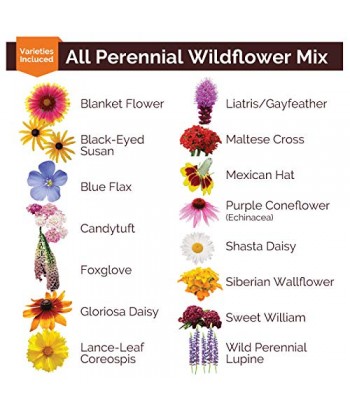 SENJWARM All Perennial Wildflower Seed Mix - 1 Pound, Mixed