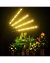 SENJWARM Grow Light with Stand, Grow Lights for Indoor Plants with Full Spectrum, 10 Dimmable Brightness, 4/8/12H Timer