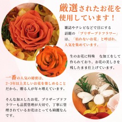 SENJWARM Preserved Flowers, Never Wither Bouquet, Fragrant Roses, with Vase, Perfect for Proposals, Birthdays, Anniversaries, Va