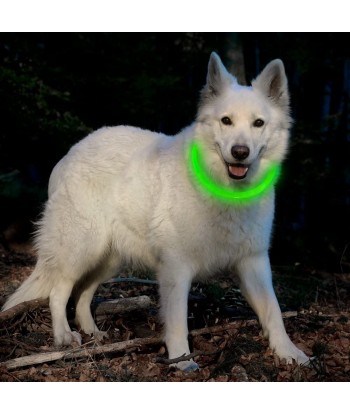 LED Dog Collar - Cuttable Water Resistant Glowing Dog Collar Light Up, USB Rechargeable