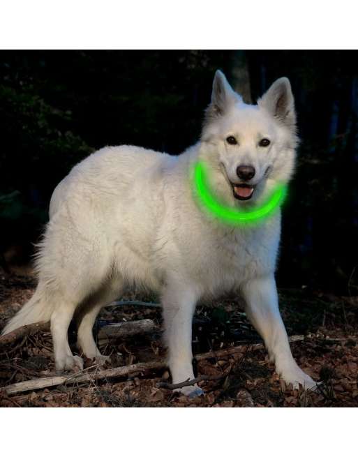 LED Dog Collar - Cuttable Water Resistant Glowing Dog Collar Light Up, USB Rechargeable