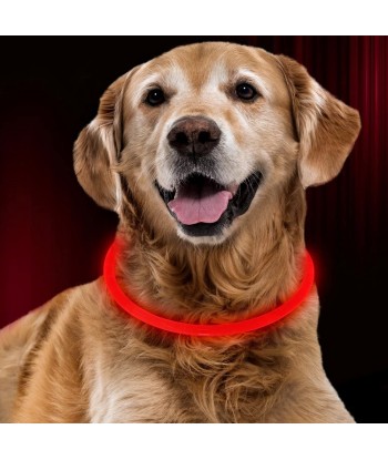 LED Dog Collar - Cuttable Water Resistant Glowing Dog Collar Light Up, USB Rechargeable