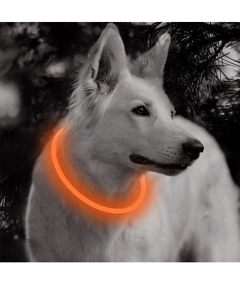 LED Dog Collar - Cuttable Water Resistant Glowing Dog Collar Light Up, USB Rechargeable