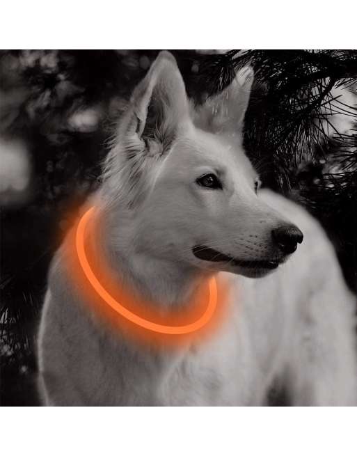 LED Dog Collar - Cuttable Water Resistant Glowing Dog Collar Light Up, USB Rechargeable