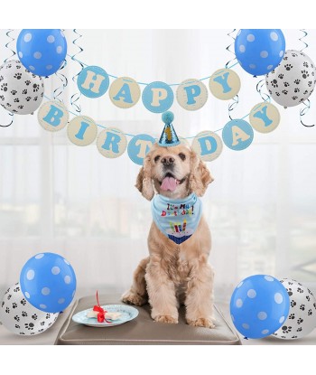 Dog Birthday Bandana Hat with 0-9 Figures Party Supplies Decoration - Banner Balloon Hanging Swirls 1st Birthday Dog Boy Girl