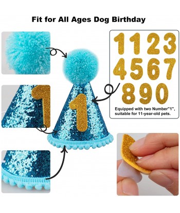 Dog Birthday Bandana Hat with 0-9 Figures Party Supplies Decoration - Banner Balloon Hanging Swirls 1st Birthday Dog Boy Girl