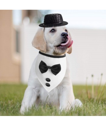 Wedding Dog Bandana Top Hat Bowtie Set Pet Scarf Wedding Attire Birthday Party Costume