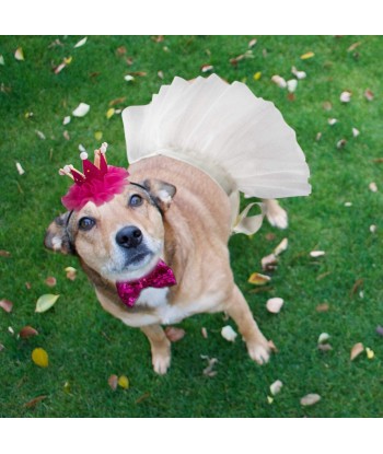 Wedding Dog Bandana Top Hat Bowtie Set Pet Scarf Wedding Attire Birthday Party Costume